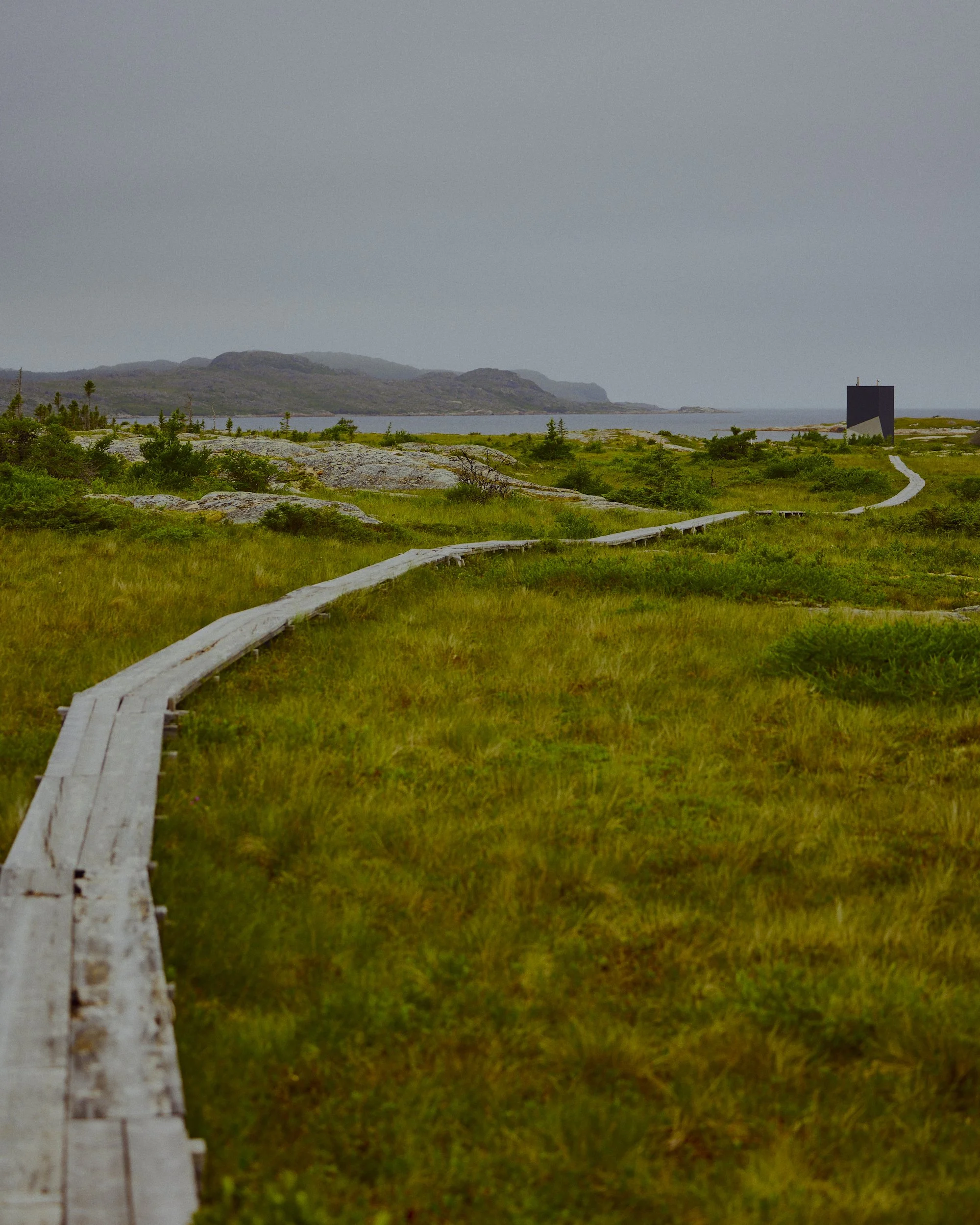 / fogo island