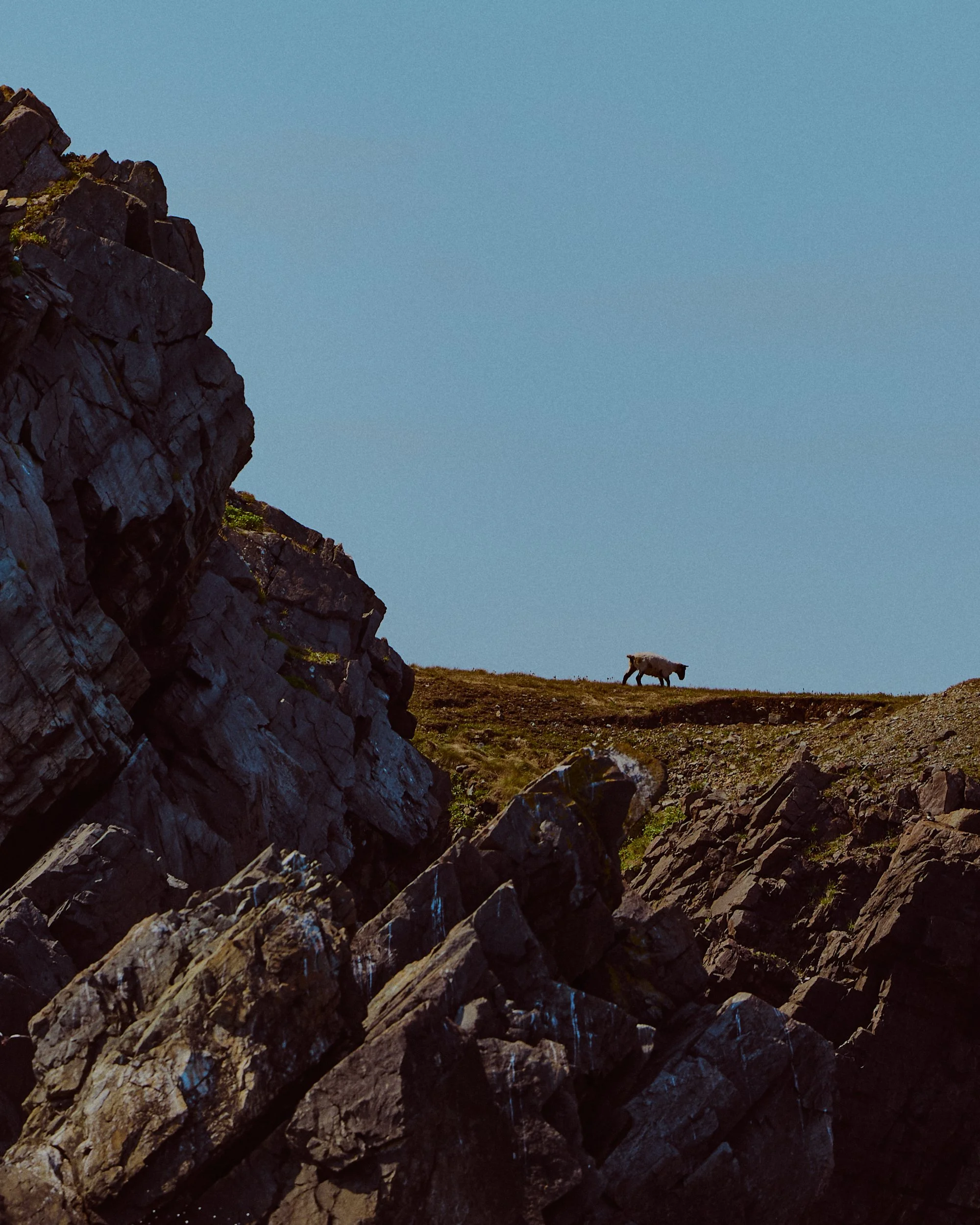/ Newfoundland