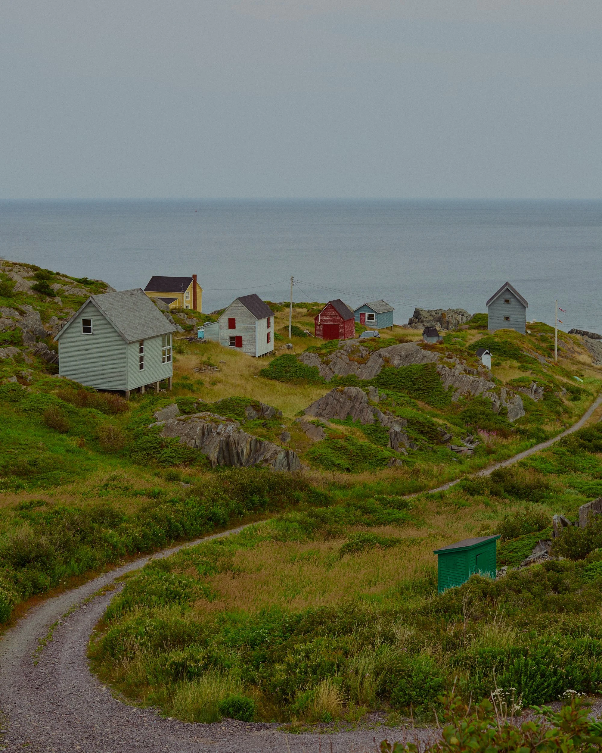/ newfoundland