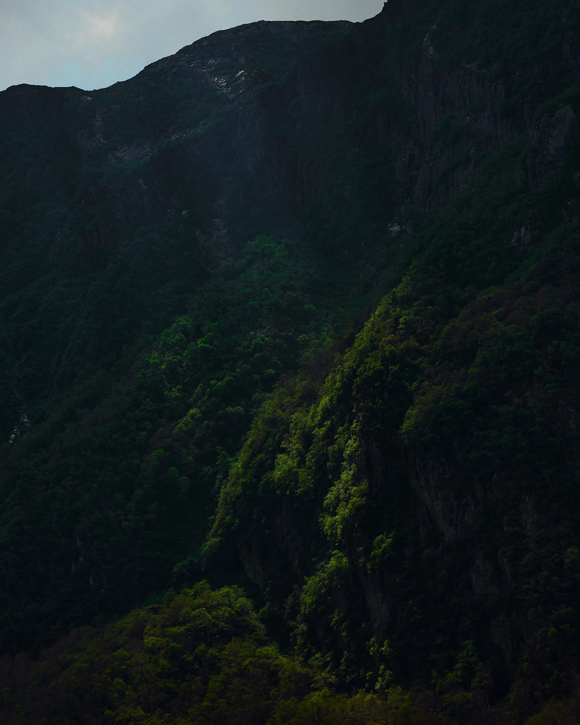 / gros morne