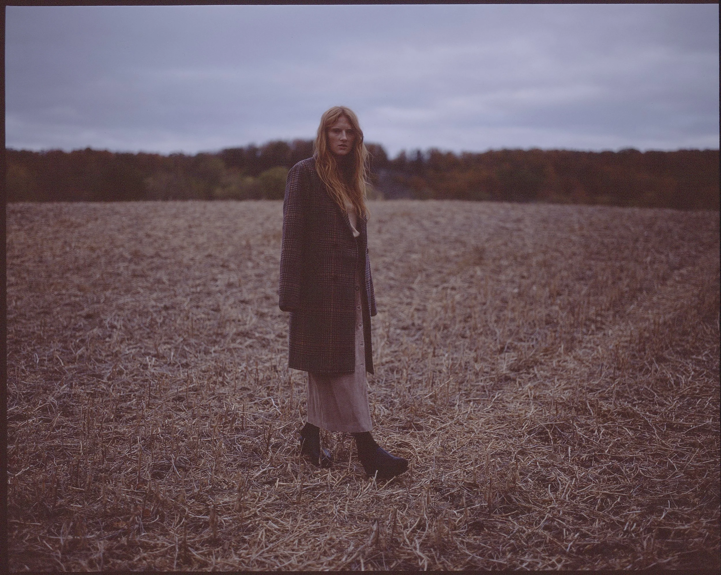 / contributor magazine