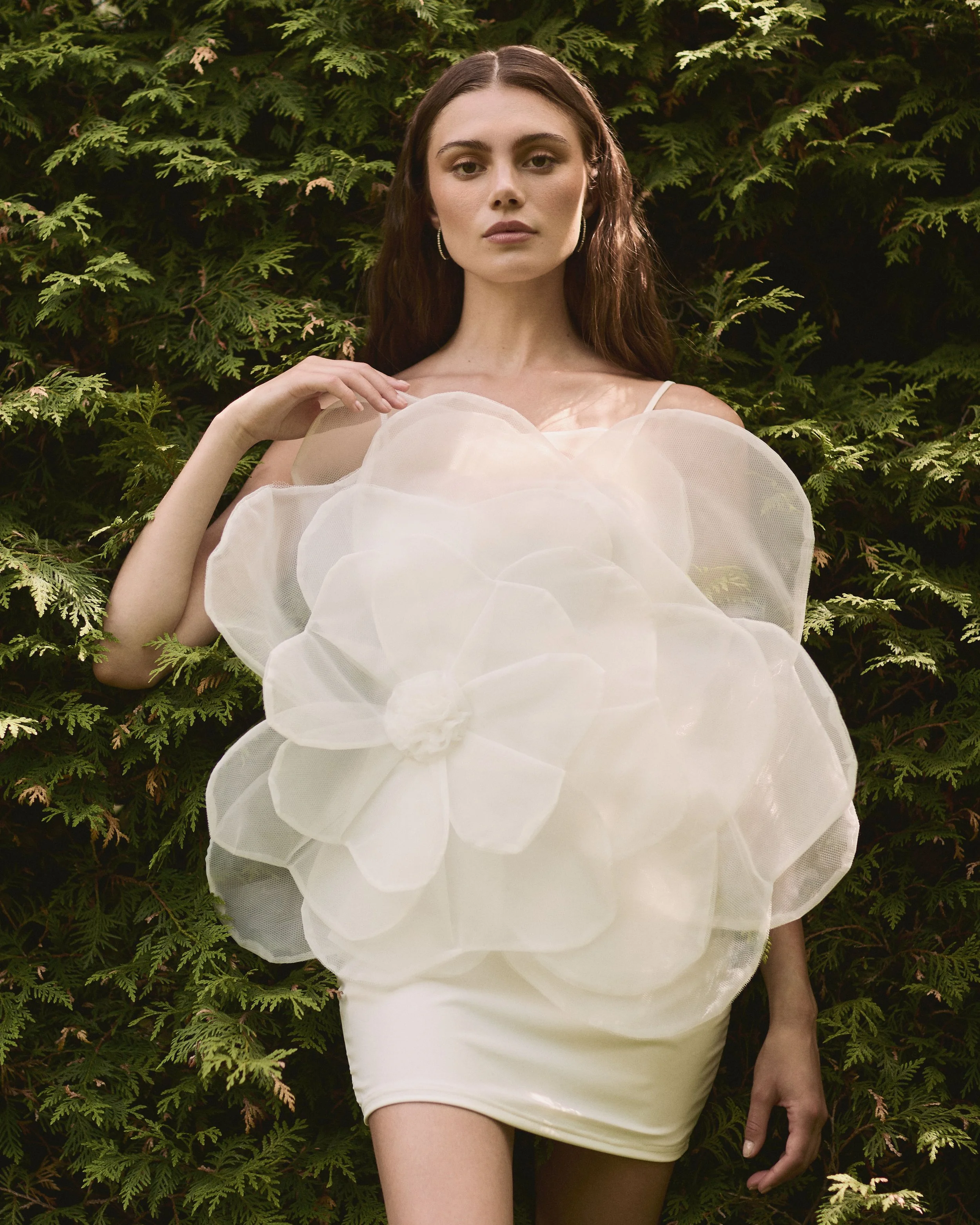 Honey_SU24_Shot_19_1556 copy.jpg