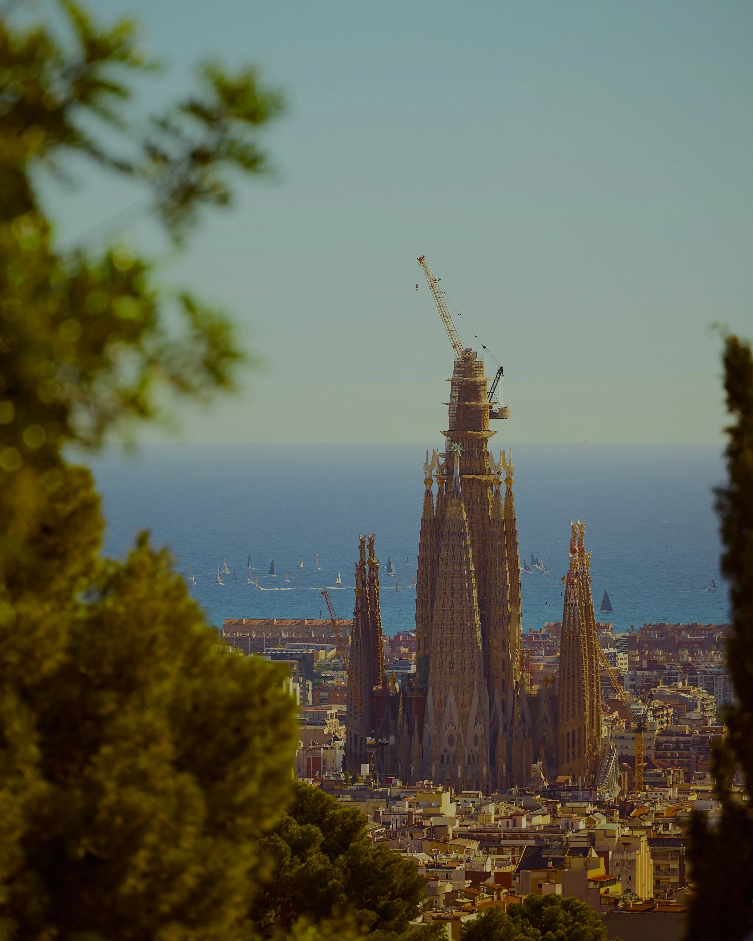 / barcelona Spain
