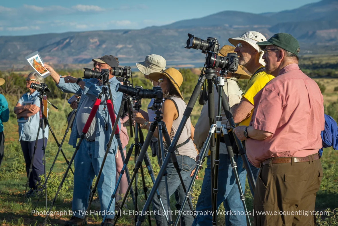 Students_Photographing-OKeeffe.jpg