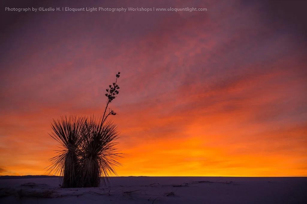 Leslie H., Virginia