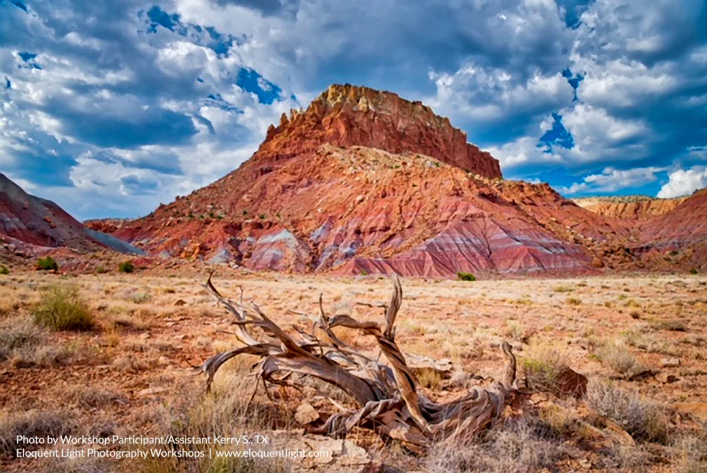 The New Mexico Landscape  A portfolio of photographs by the participants in our recent workshop 
