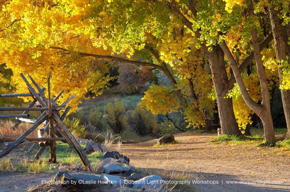 Leslie H.,&nbsp;Virginia