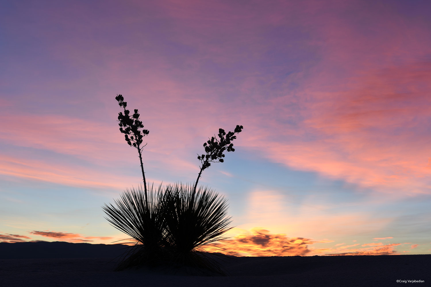 Yucca+Sunrise-Varjabedian.jpg