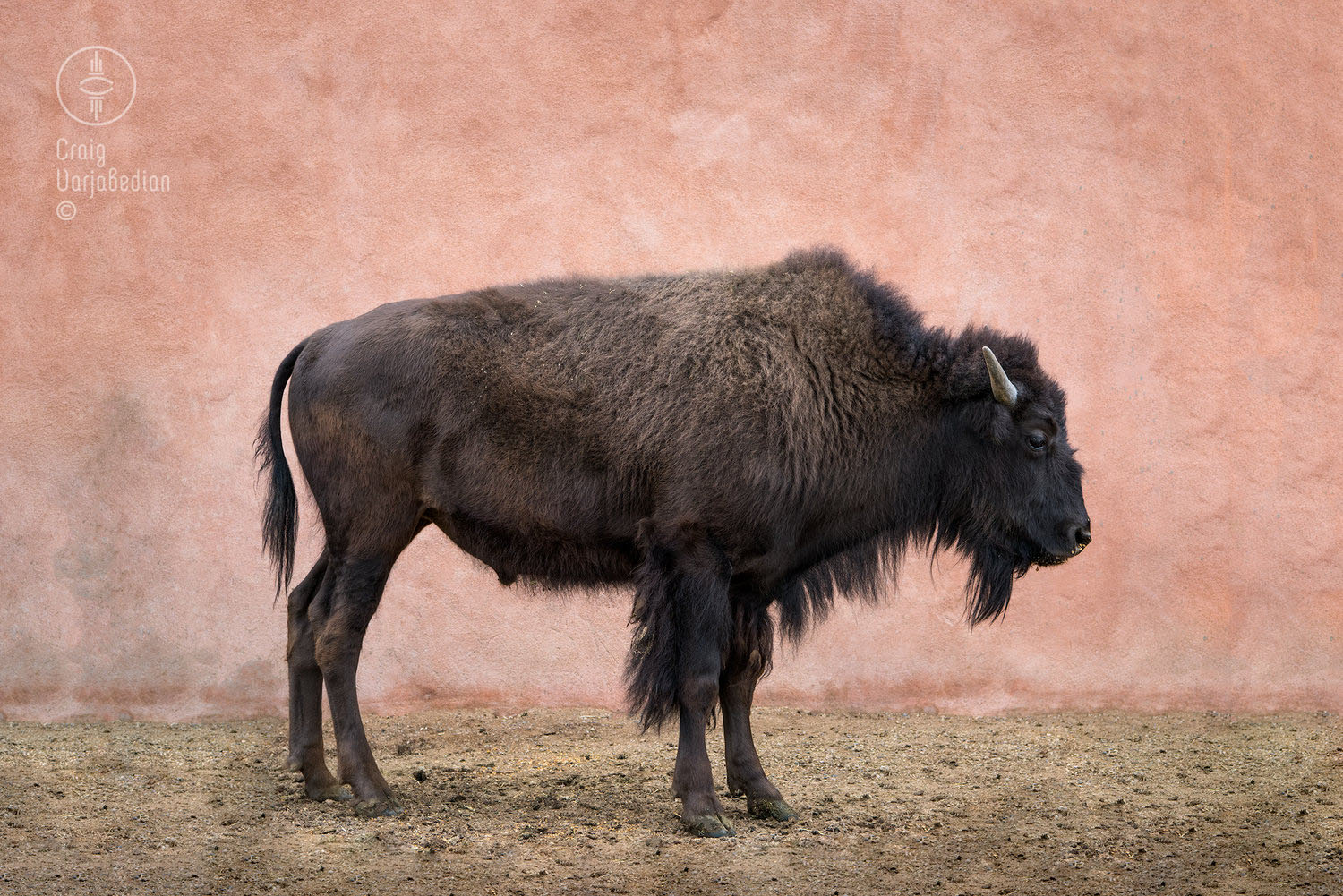 Clyde-Santa Fe-New Mexic0-©Craig Varjabedian.jpg