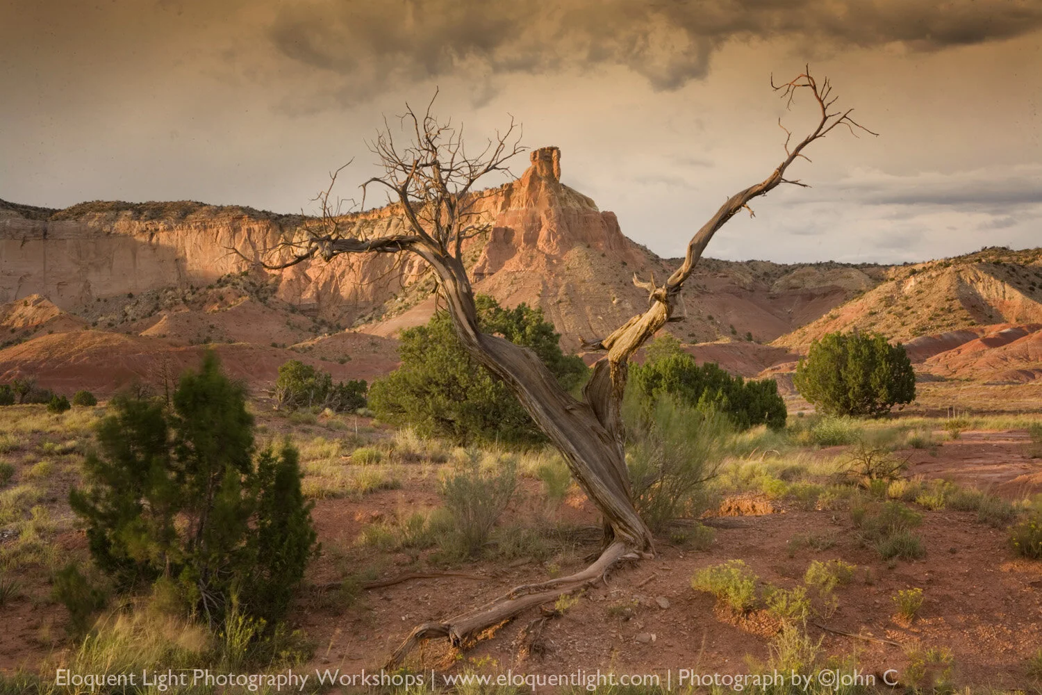 Chimney-Rock-&-Tree-©John-C.jpg