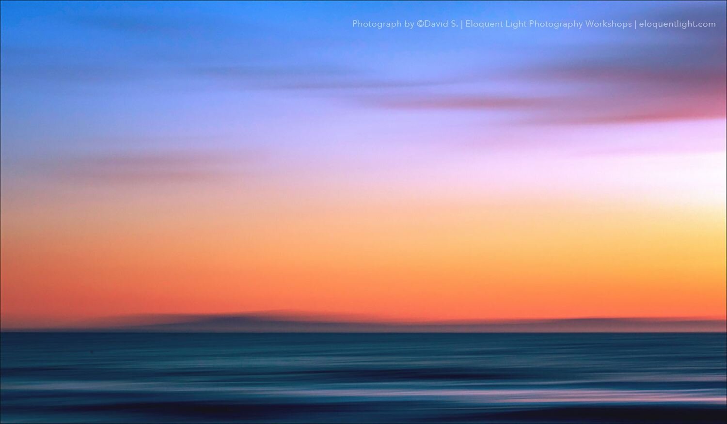 David S., California