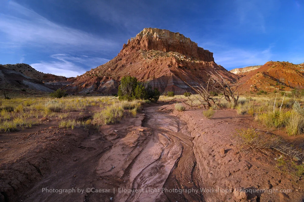 Cesar U., Washington