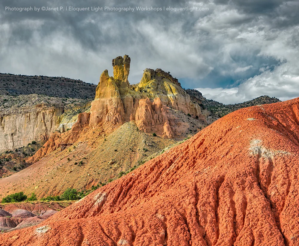 Janet P., Washington