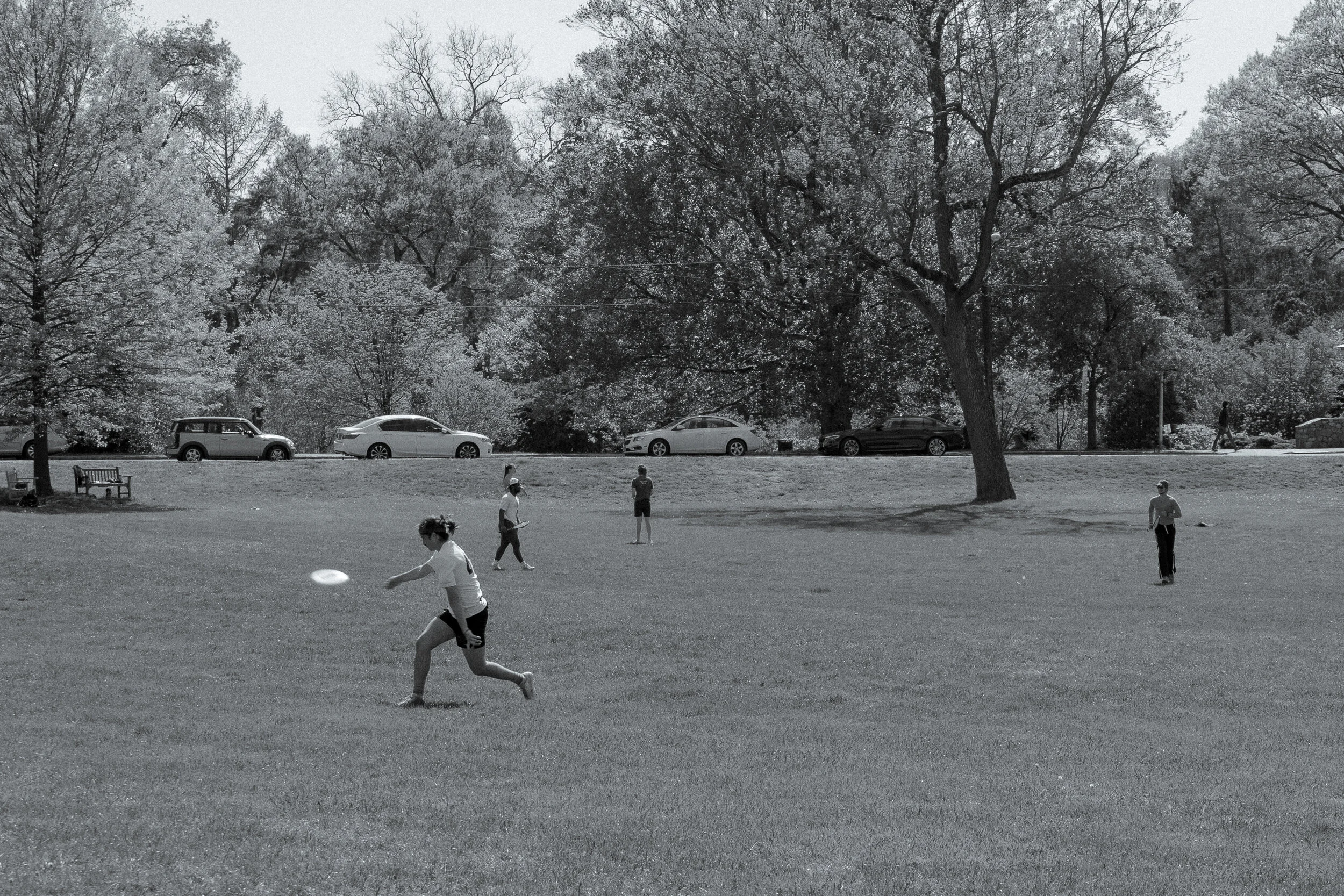 Social Distance Maplewood-20.jpg