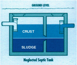 Septic Tank Bacteria.png