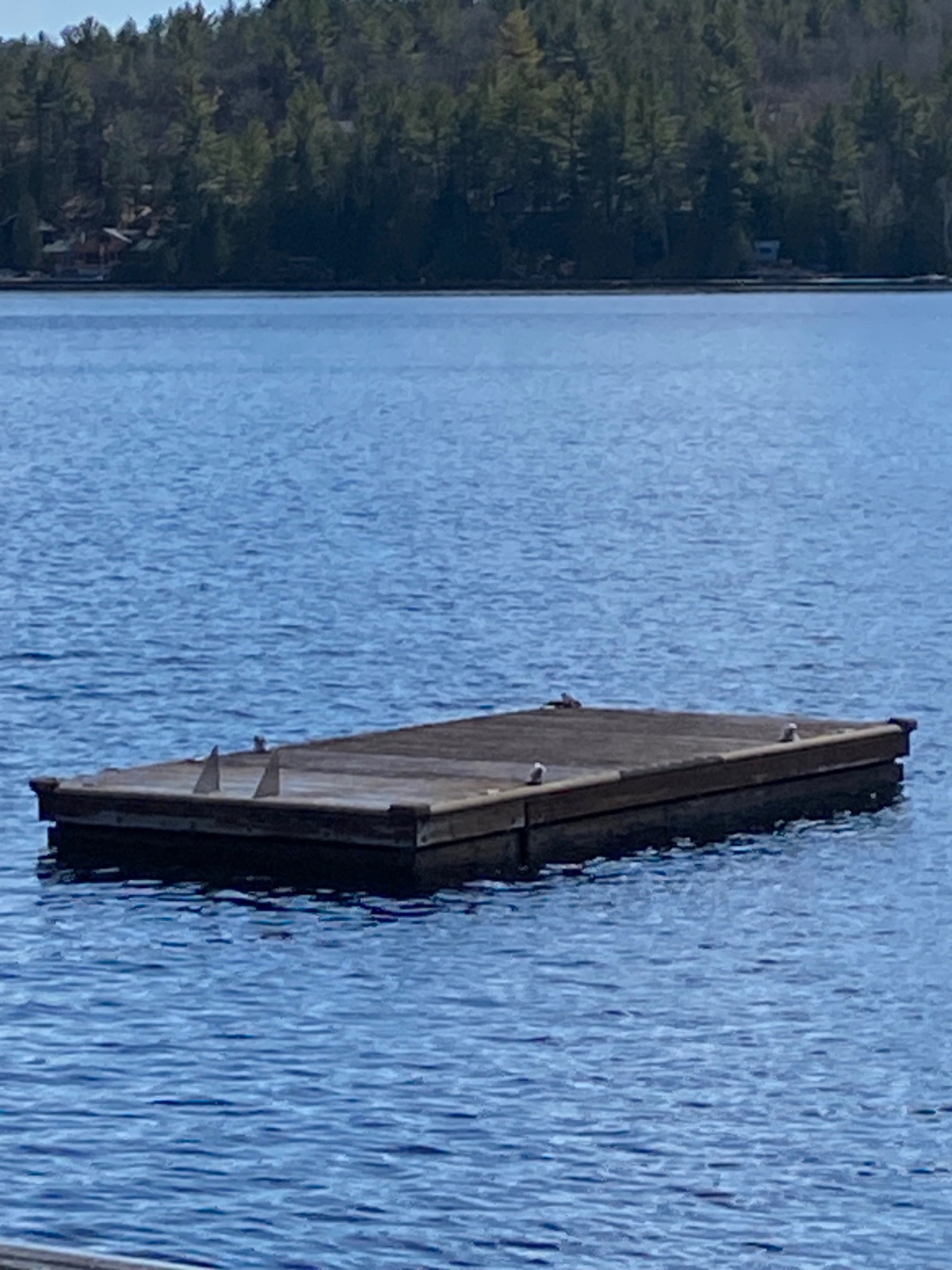 SURPRISE! Runaway dock.