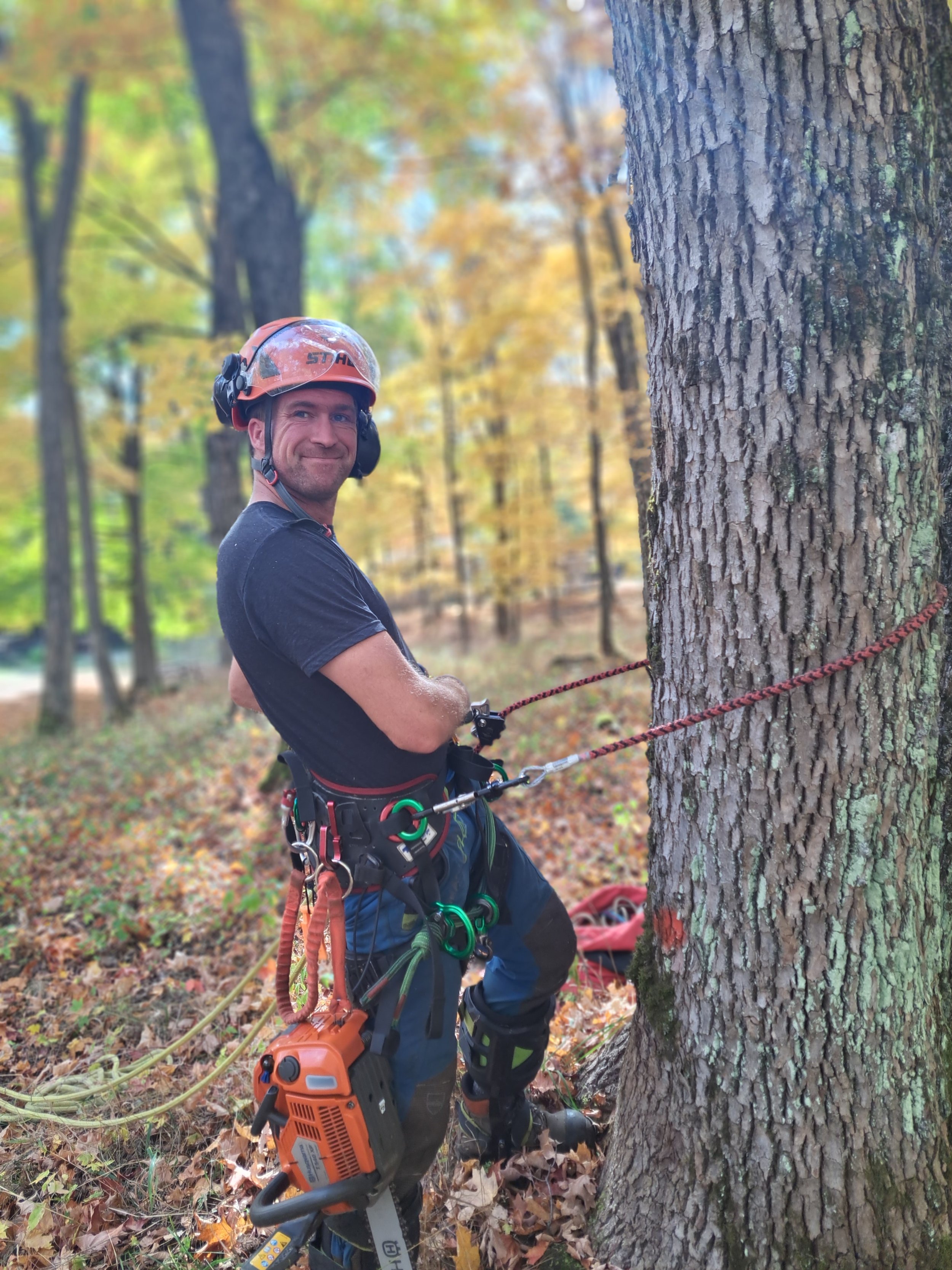 Haliburton Tree Care 5.jpg