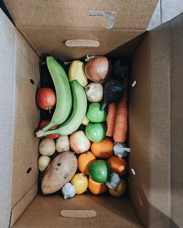 Thank you to the best real estate agent ever, @markgslc, who quietly left this huge box of fresh produce (plus kale and broccoli) on our doorstep. Thank you for your generous heart, Mark. We were so surprised and fully blessed by this!