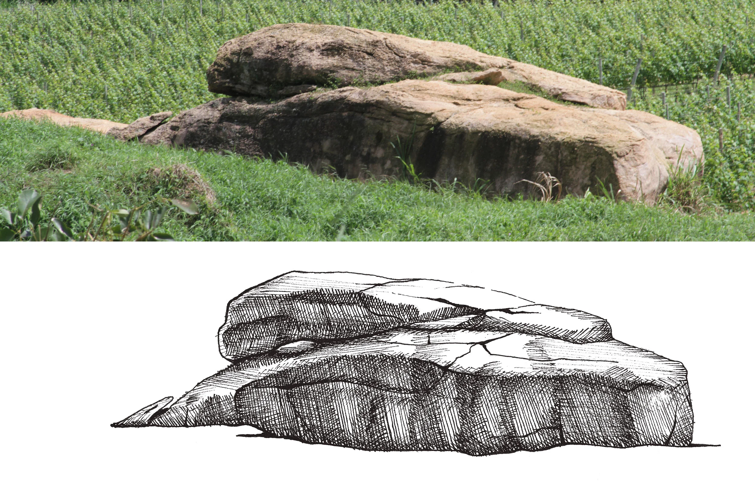10-pranchas-VALE DA PEDRA5.jpg