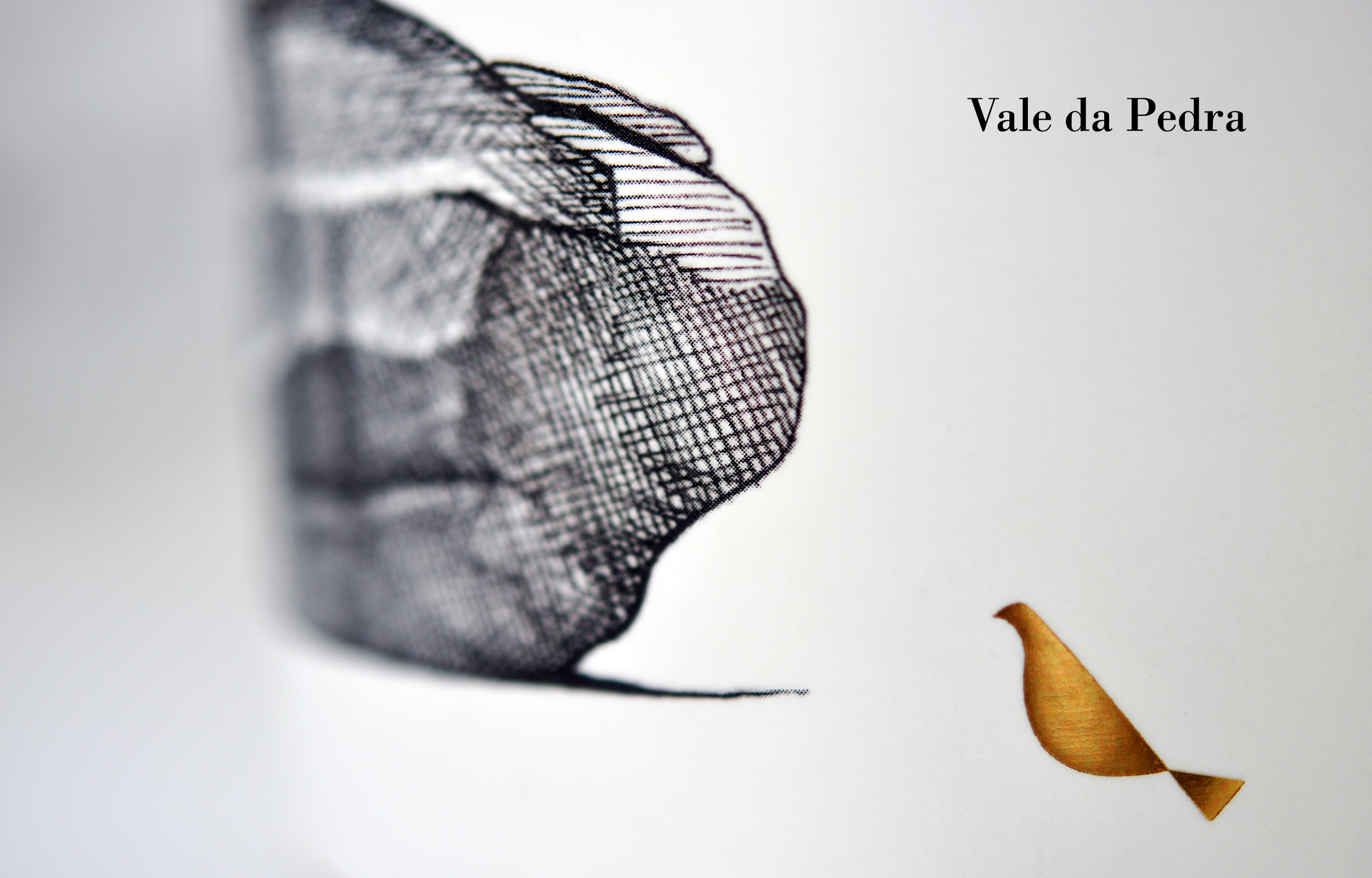 14-pranchas-VALE DA PEDRA5.jpg