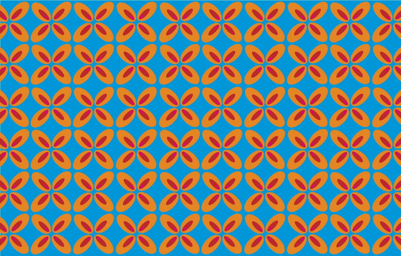 pranchas-donas3.jpg