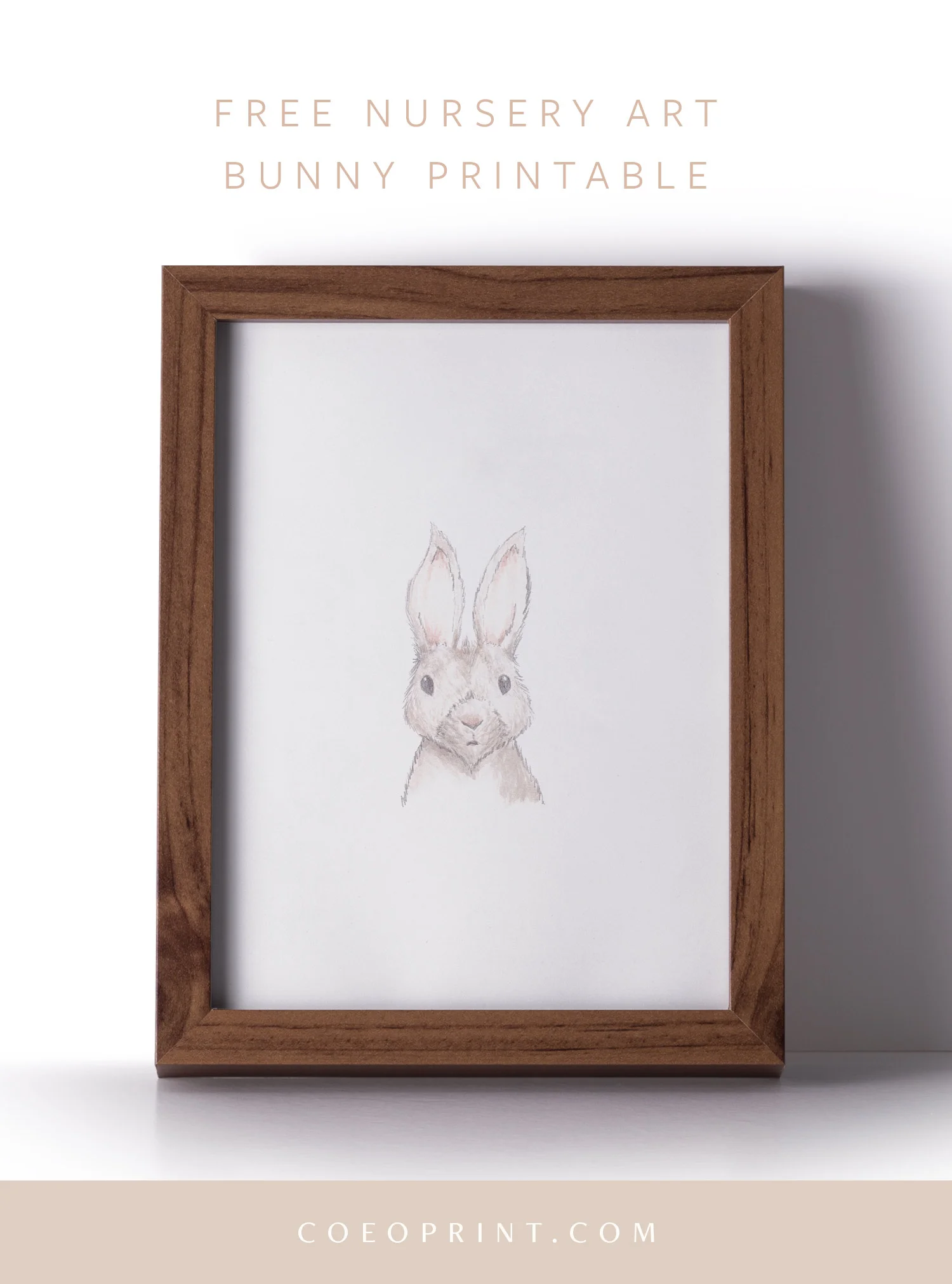 coeo-print-bunny-download-blog-4.jpg