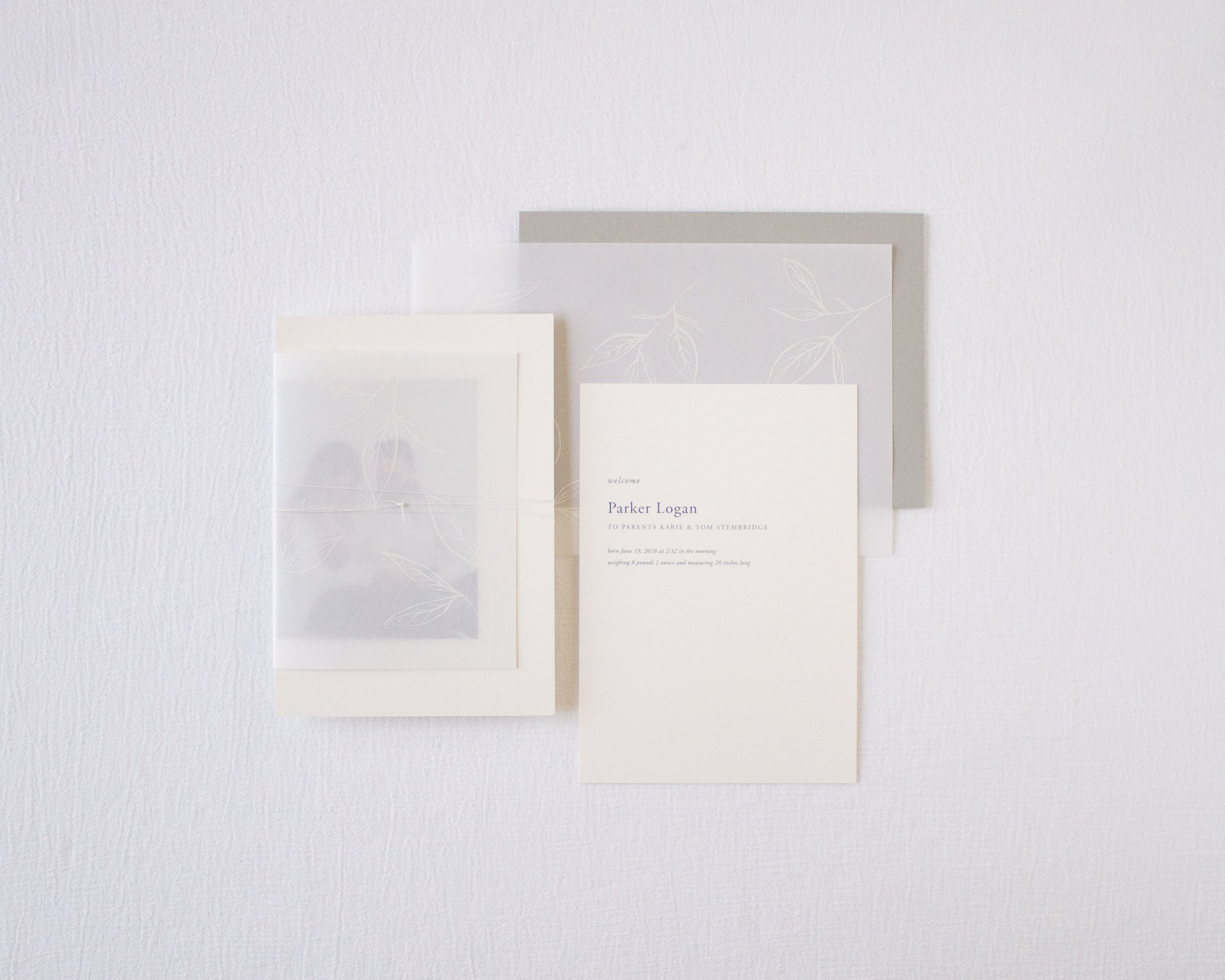 coeo-print-company-collection-digital-56.jpg