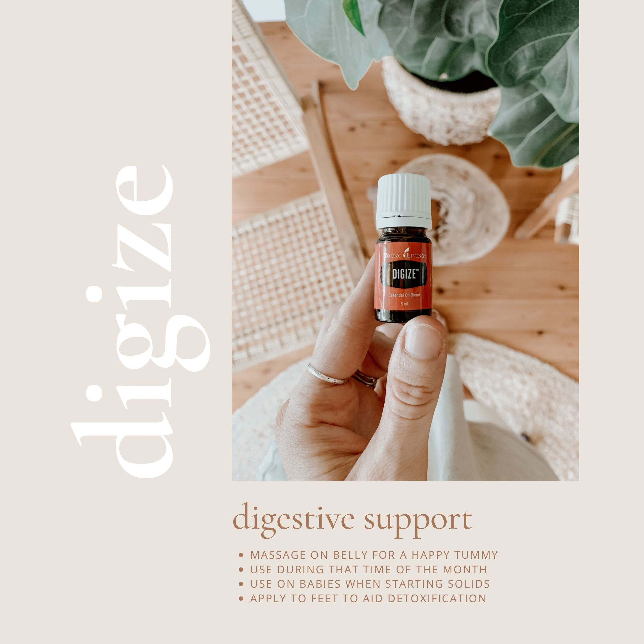 71CFBD63-13ED-4264-A0F2-6C25B9558AF9.PNG