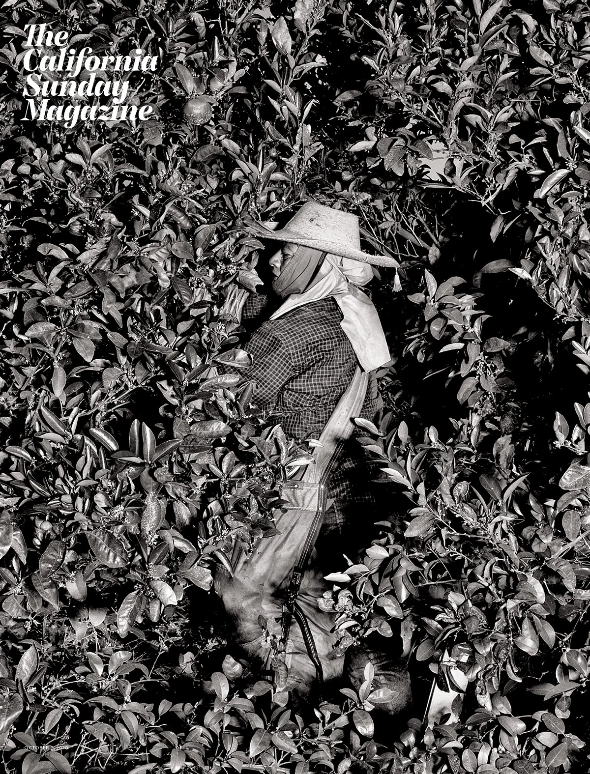 The California Sunday Magazine, October 2018