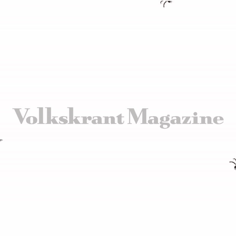 Volkskrant Magazine