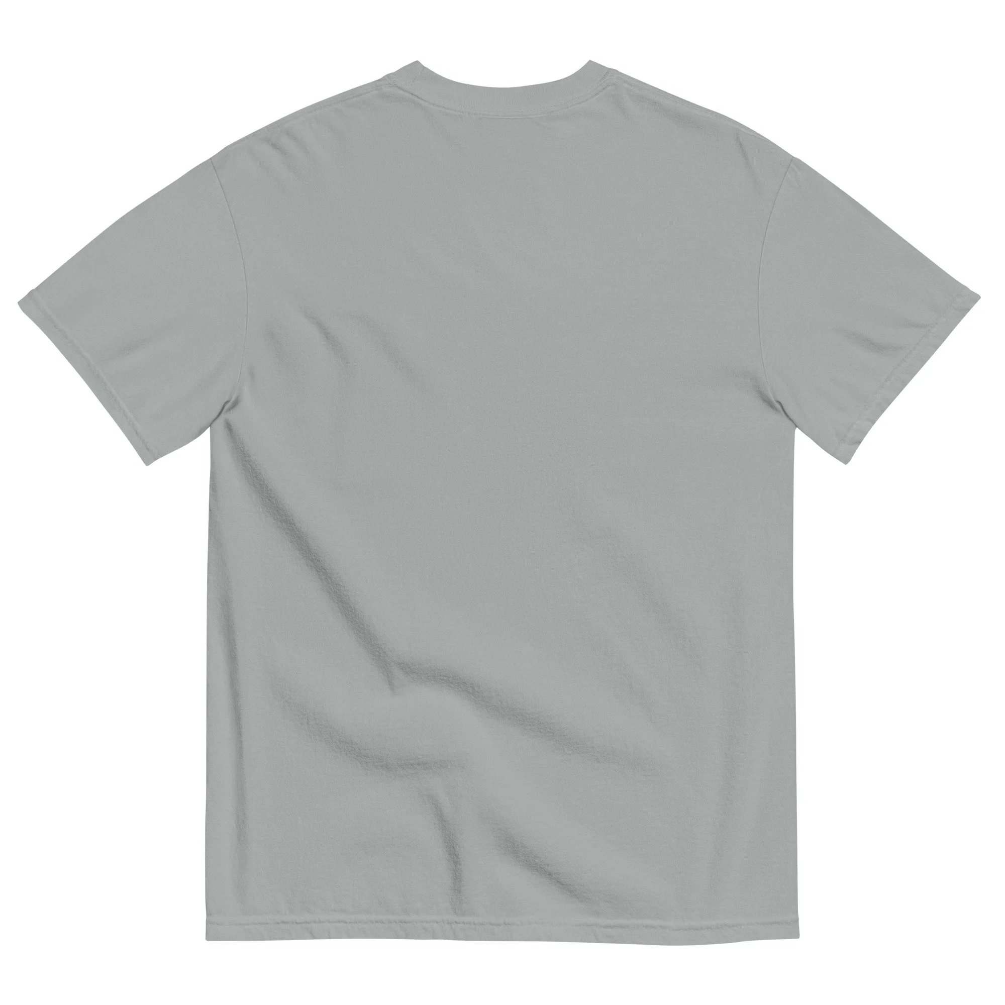 unisex-garment-dyed-heavyweight-t-shirt-granite-back-69448c48104dd.jpg
