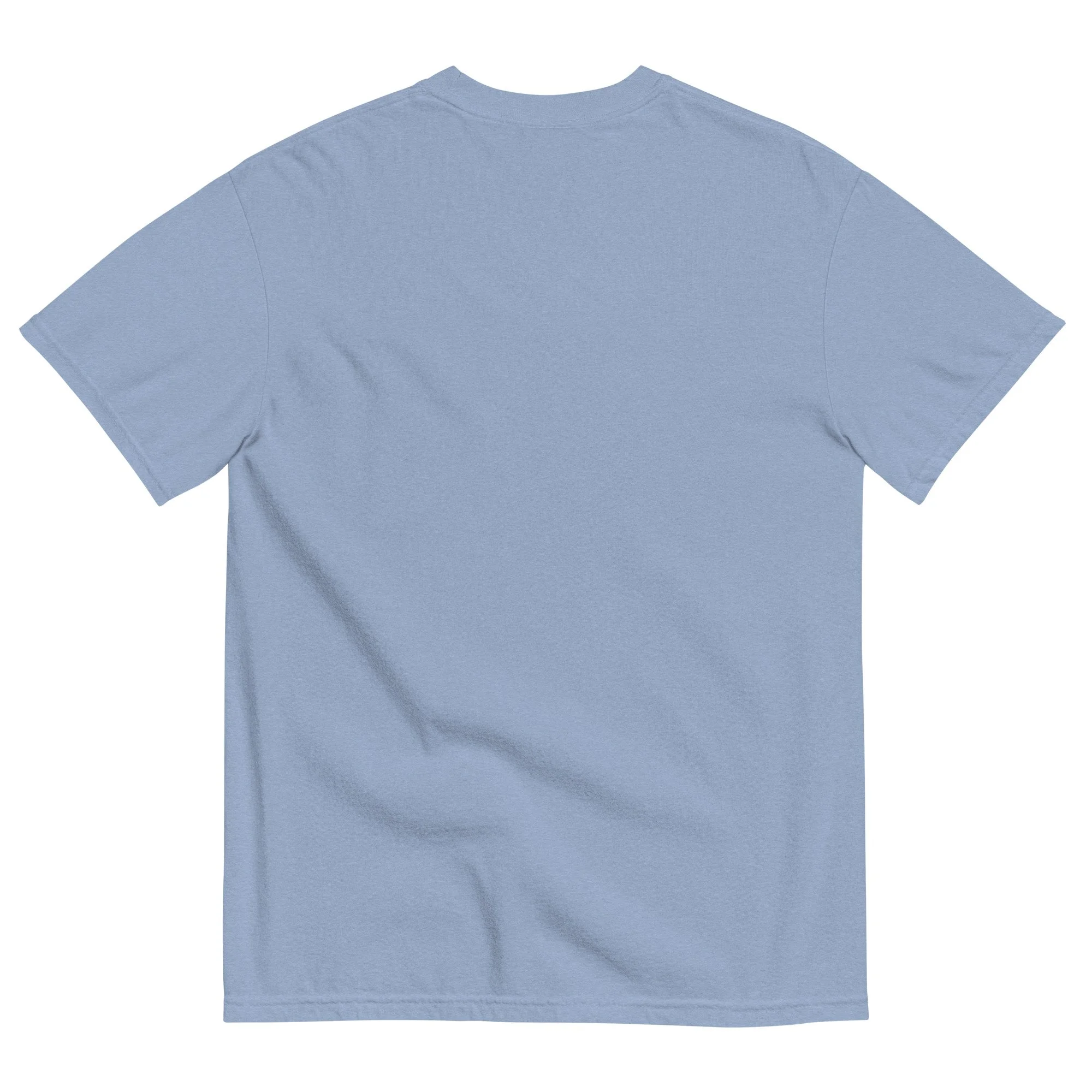 unisex-garment-dyed-heavyweight-t-shirt-washed-denim-back-69448c4813e66.jpg