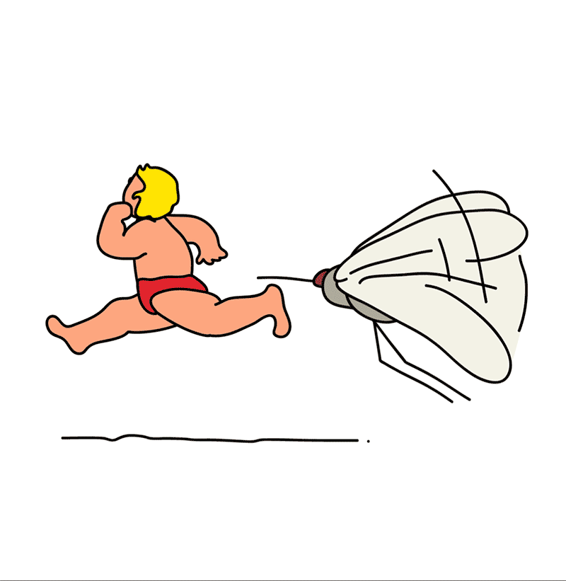 2 igor.gif