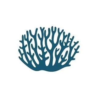 Ocean First, LLC