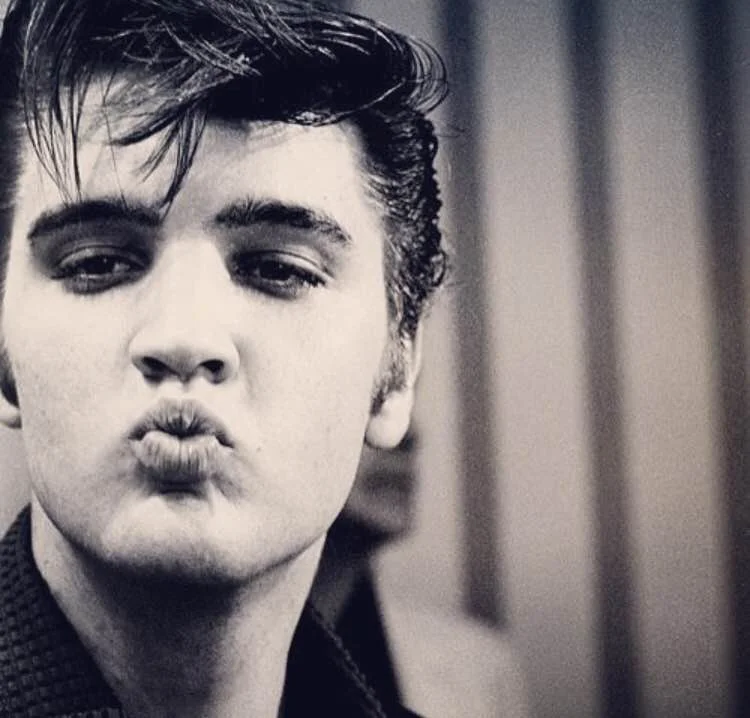 "I have no use for bodyguards, but I have very specific use for two highly trained certified public accountants". -Elvis Presley