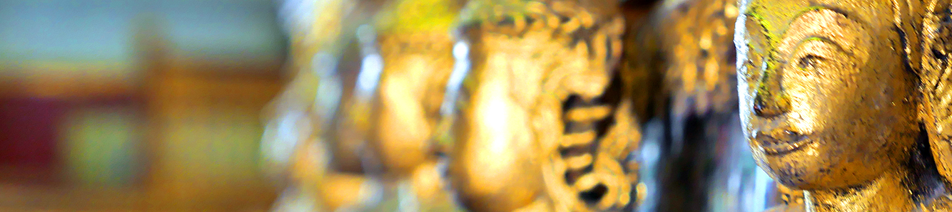 banner4.jpg