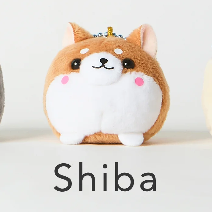mini-dog-shiba.jpg