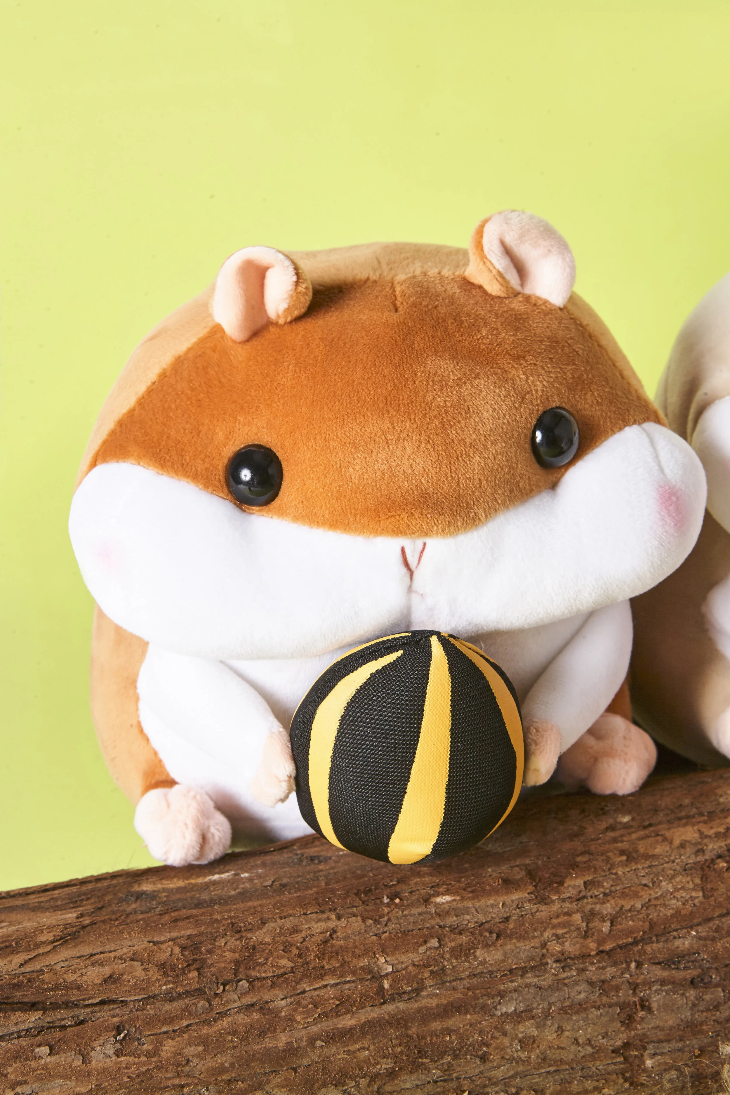 hamster4.jpg