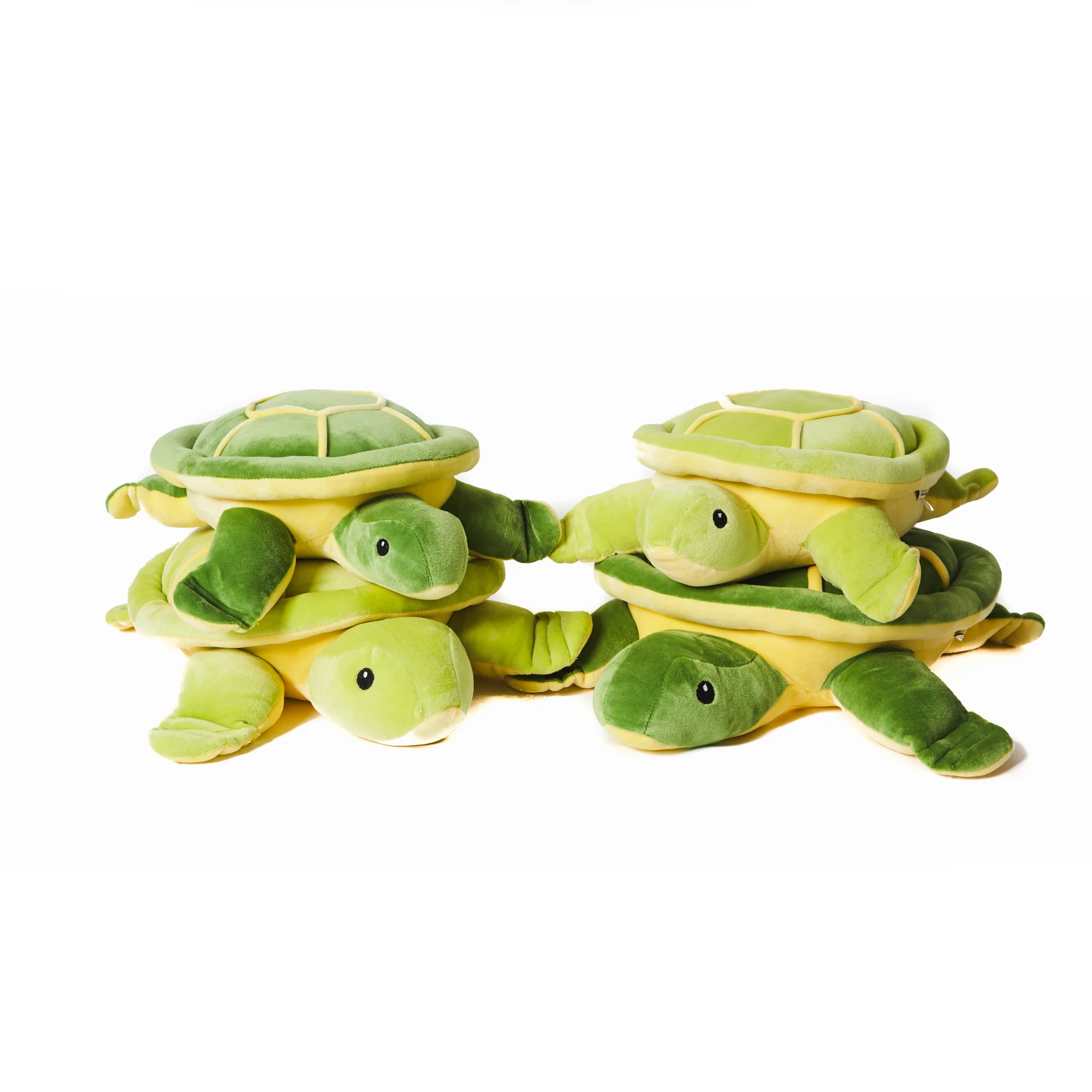shinjidai-turtle-1.jpg
