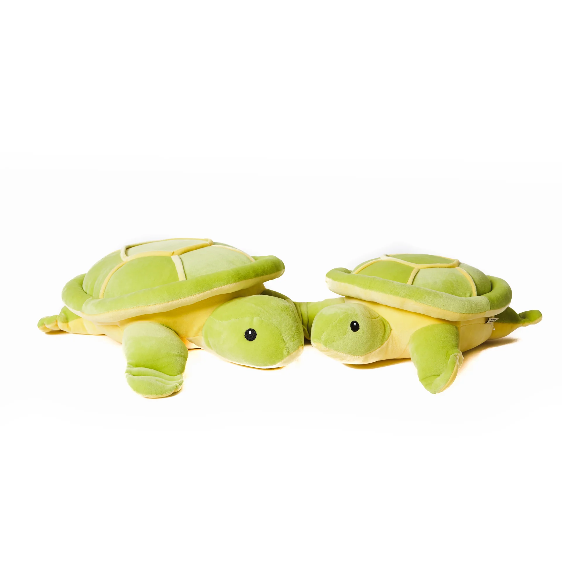 shinjidai-turtle-3.jpg