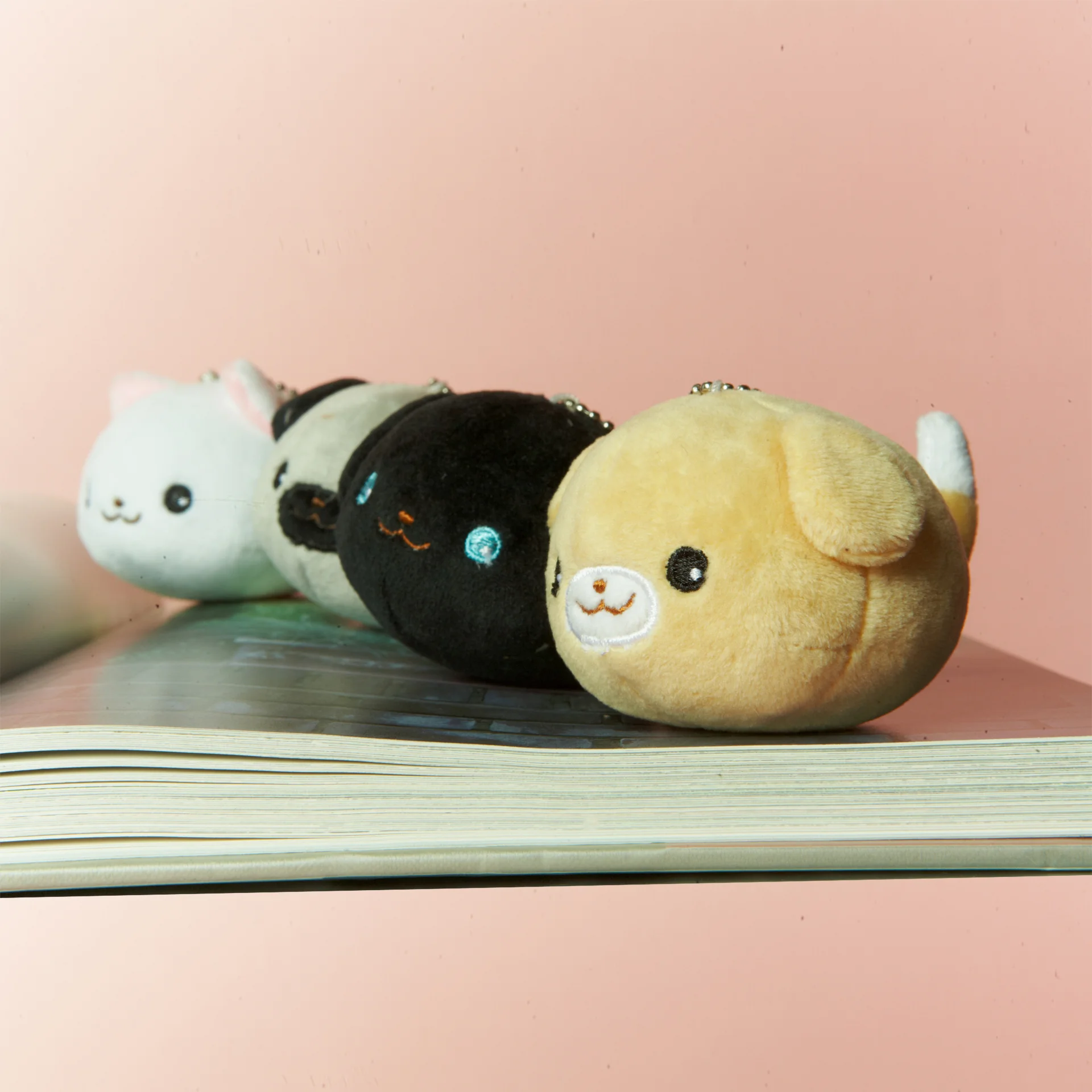 dog-cat-b.jpg