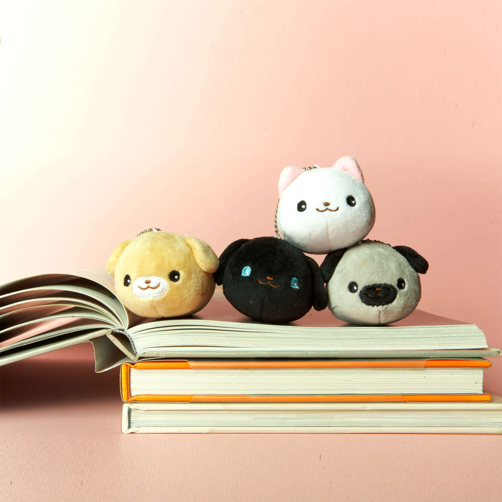 dog-cat-a.jpg