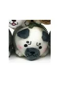 pug.jpg