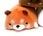 anim-07130-oragne.png