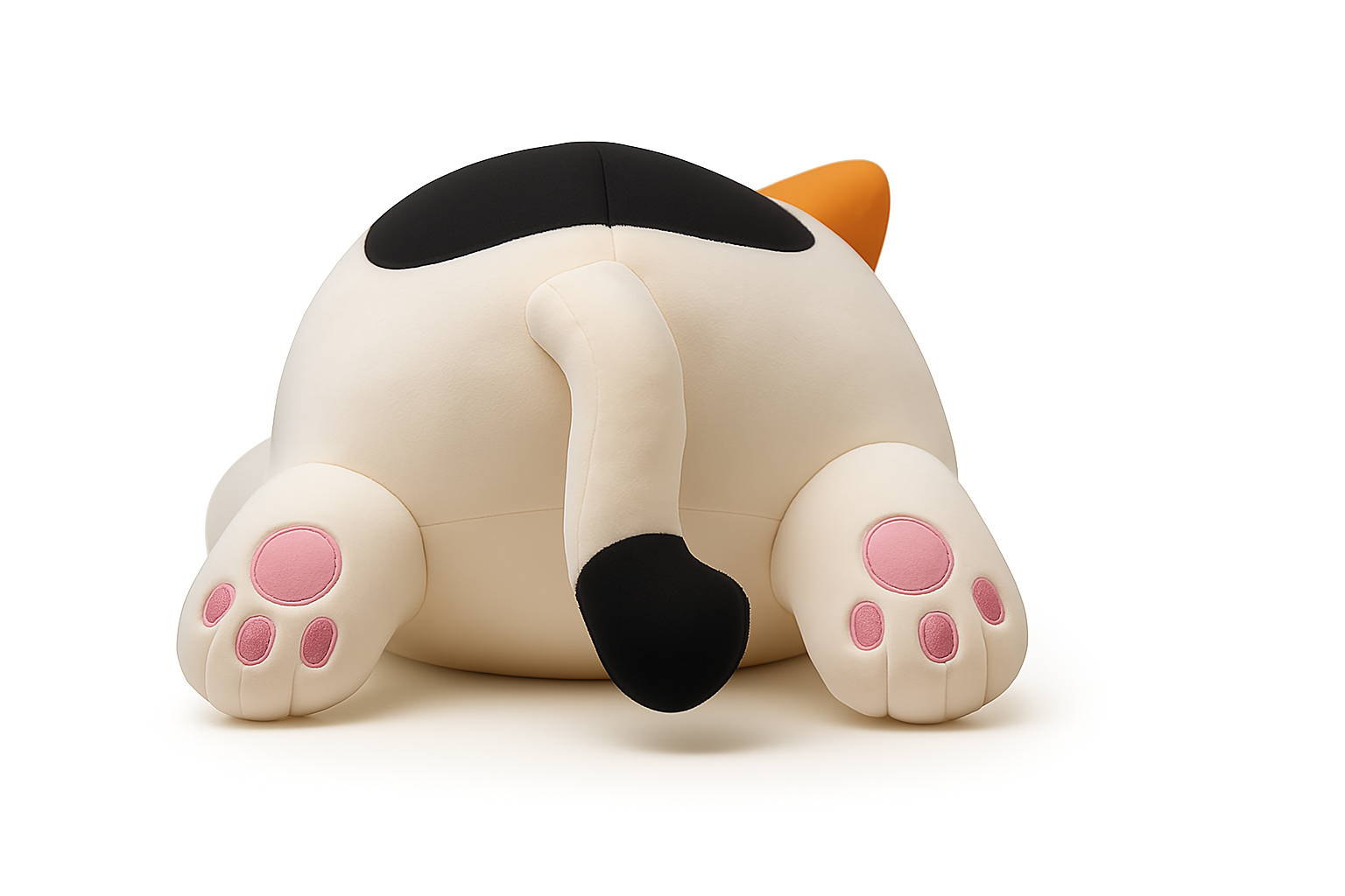 cat 03.png