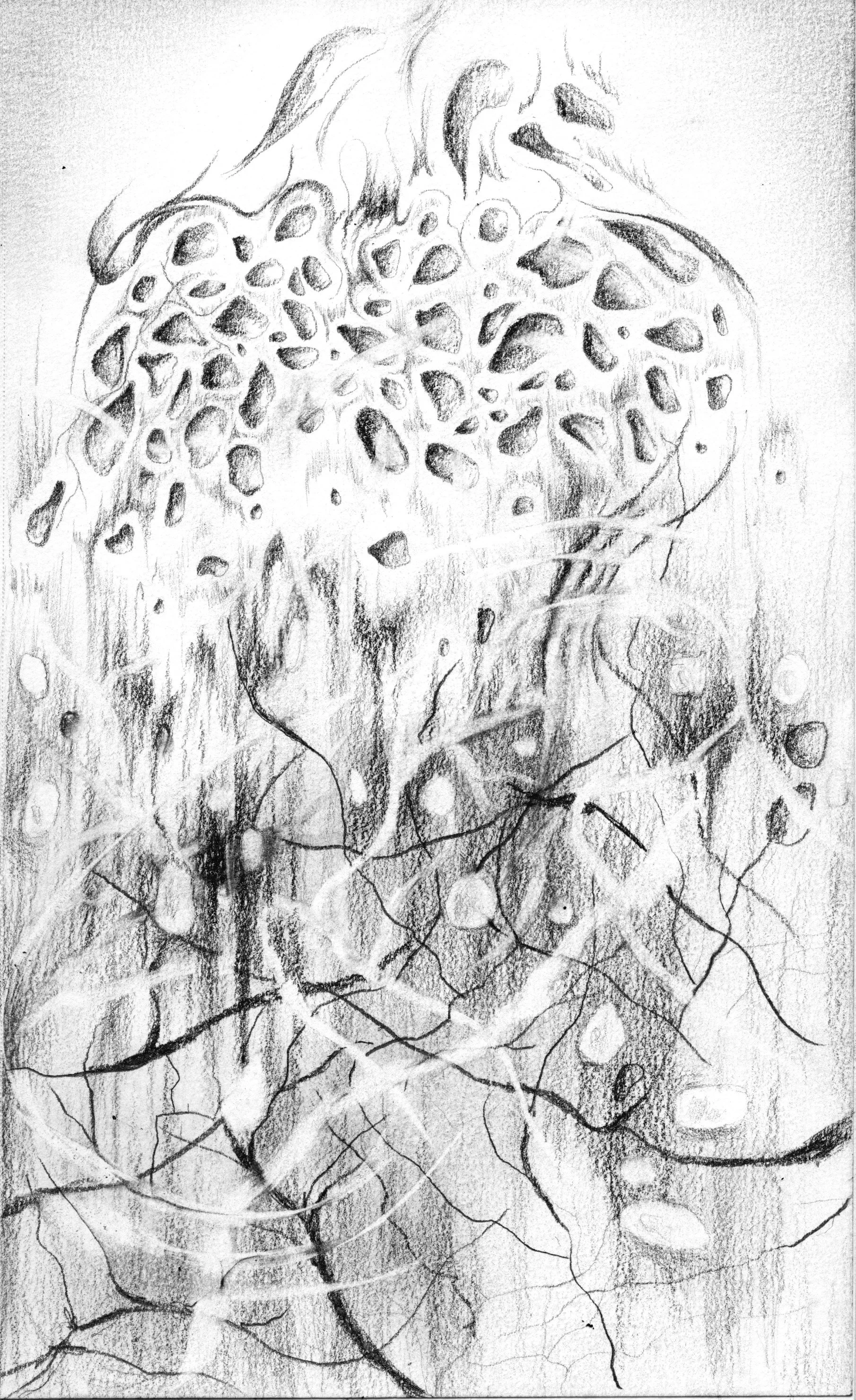 ag+sketch.jpg