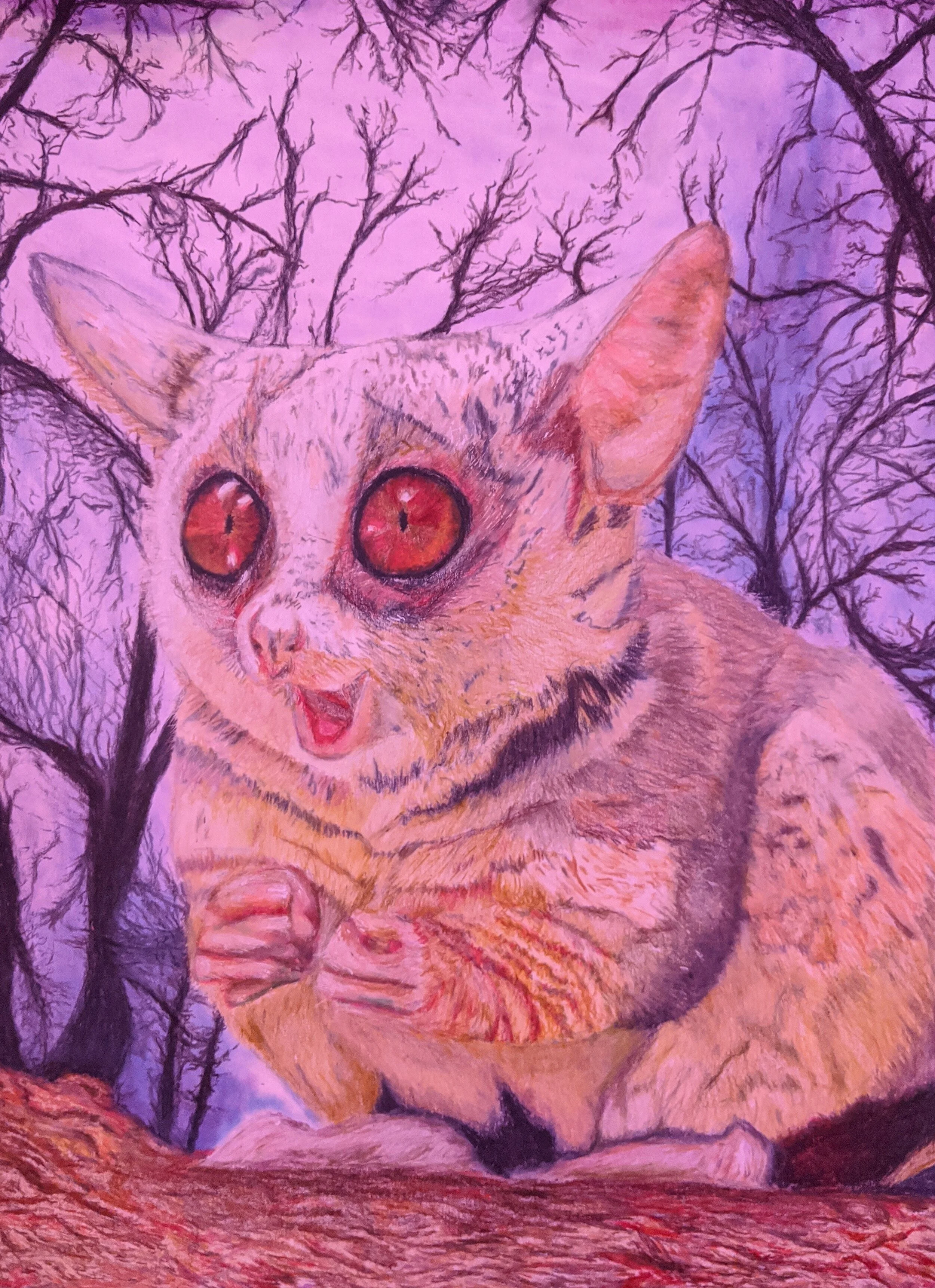Bushbaby CP.jpg