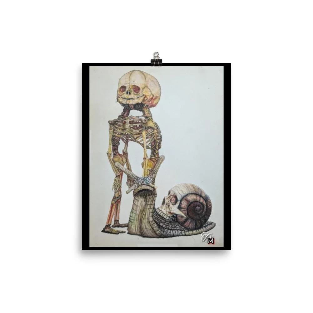 enhanced-matte-paper-poster-(in)-8x10-transparent-698d732572156.jpg
