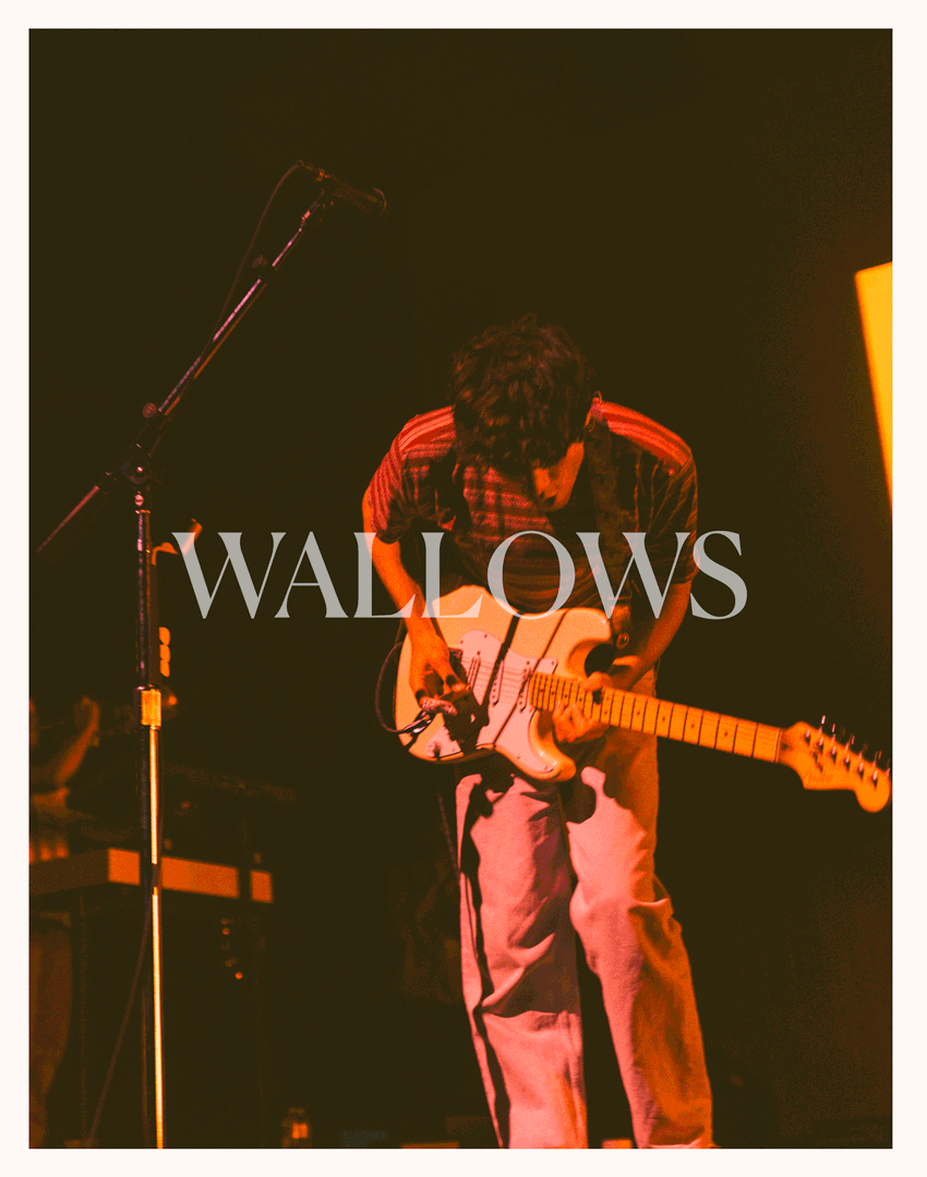 WALLOWS2.gif