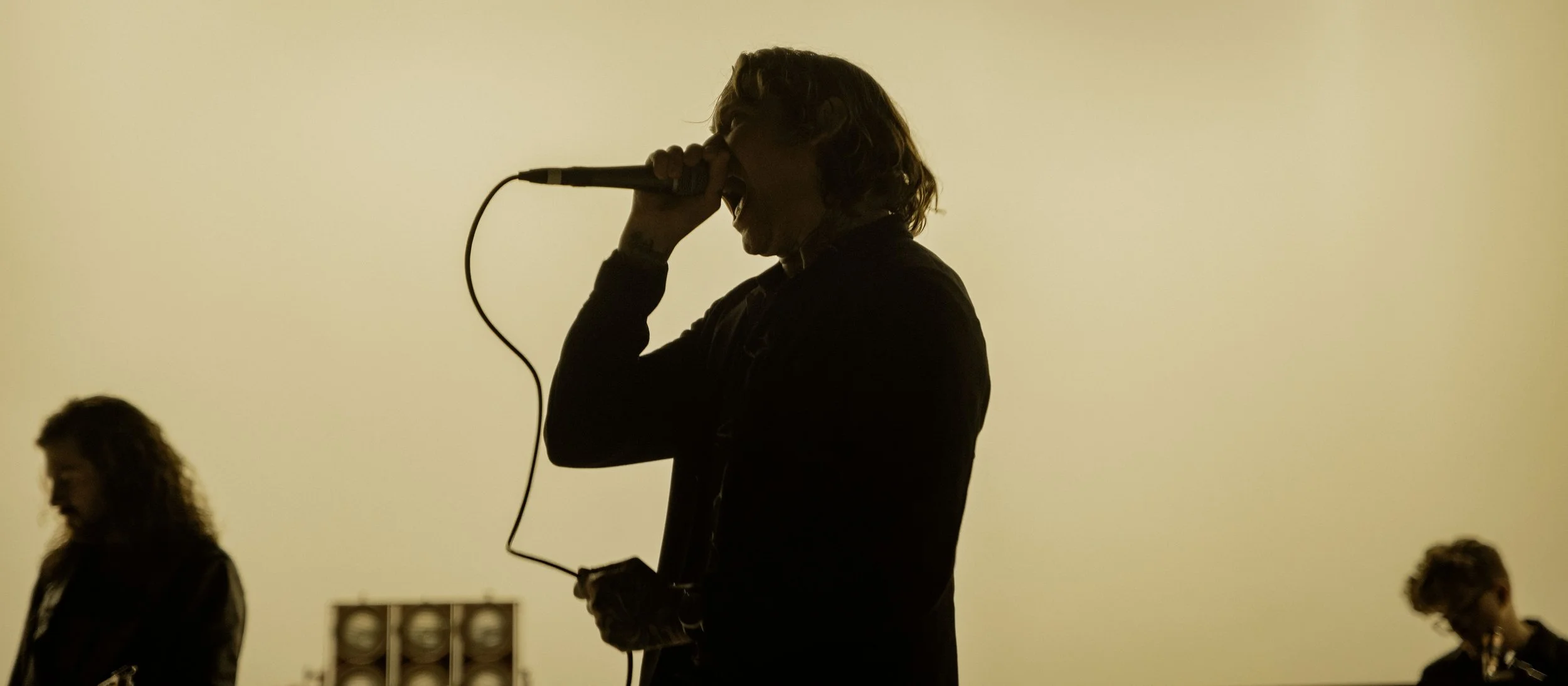 TDWP14.jpg